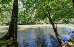 160 Tree Frog Lane, Benton, TN 37307