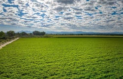 1449 Highway 50, Delta, CO 81416