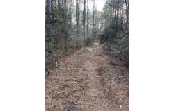Highway 42, State Line, MS 39362