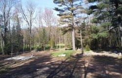 N10595 HWY 45, Aniwa, WI 54414