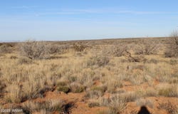 CCR, Heber, AZ 85928