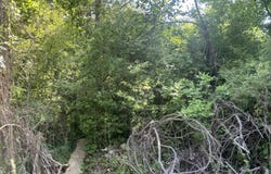 Bauman Road, Richmond, MI 48063