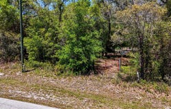 34281 UMBRELLA ROCK Drive, WEBSTER, FL 33597