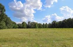 TOM KERRIGAN RD, Wisner, LA 71378