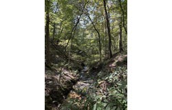 County Road 114, Ava, MO 65608