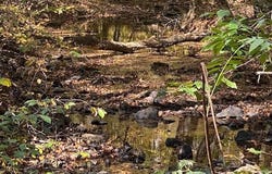 Sepelo Way lot: 5, Efland, NC 27243