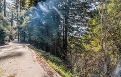 Lot 26 Lakeview AVE, FELTON, CA 95018
