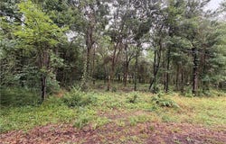 TBD Pecan Tree Lane, Montgomery, TX 77316