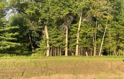 76th Avenue, Princeton, MN 55371