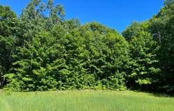 X22 Wysinski Rd., Hurley, WI 54559