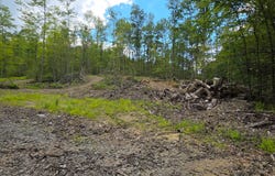 416 Ouaquaga Rd, Windsor, NY 13865