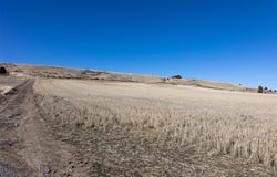 Sagebrush Road, Three Forks, MT 59752