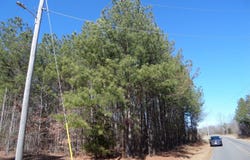 2225 County Road 55, Centre, AL 35960