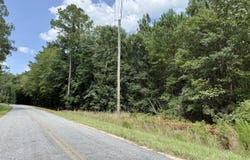 Cohen Road, Pineland, SC 29934