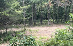 528 Black Oak Road, Mammoth Spring, AR 72554