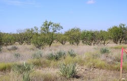 County Rd 130 Highway, Ballinger, TX 76821