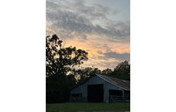 564 Rattlesnake Drive, Marshall, AR 72650