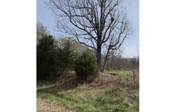 Winfred Brady Road, Bennett, NC 27208
