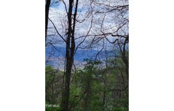 Bailey Bridge Road lot: -3, Limestone, TN 37681