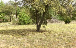 Westwoood, Graham, TX 76450