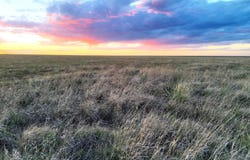 County Road PP, Springfield, CO 81073