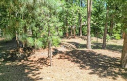 Timber Hills Road, Mount Shasta, CA 96067