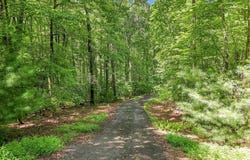 Willow Wind Heights lot: 16, Franklin, NC 28734