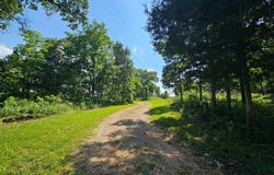 65 Gunslinger Drive, Brixey, MO 65618