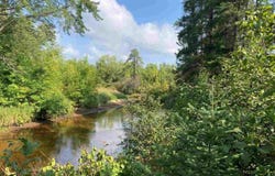 Hoel Rd, Gilbert, MN 55741
