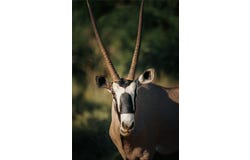 10000 Fm 209, Graham, TX 76450