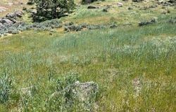 0 Big Sky, Tehachapi, CA 93561