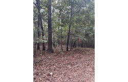 TBD #2 N Chaparral, Mena, AR 71953