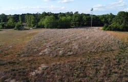 Rosemary Road, Williston, SC 29826