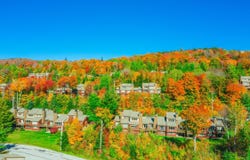 33D White Oaks Loop, Dover, VT 05356