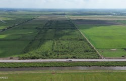 S Hwy 82, Abbeville, LA 70510