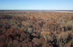White Oak Drive, Arkadelphia, AR 71923