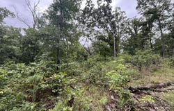 Partridge Drive, Climax Springs, MO 65324