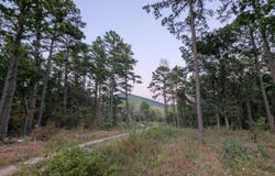 55700 US-59, Heavener, OK 74937