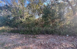 NE 14TH Street, OCALA, FL 34470