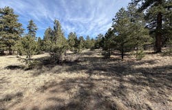 262 Harmon Dr, Texas Creek, CO 81223