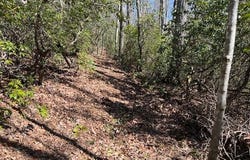 Cliff Park Rd, Monterey, TN 38574