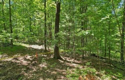 103 Green Street, Northborough, MA 01532