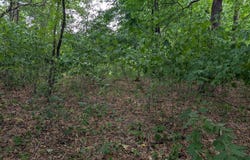 E Birch Avenue, Barron, WI 54812