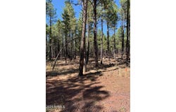 TBD-2 Dynamite Road, Lakeside, AZ 85929