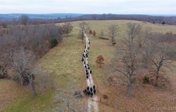 12765 Buckeye Road, Crocker, MO 65452