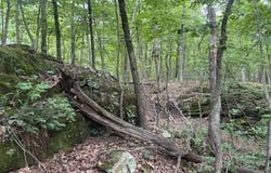 Greenfields Way N lot: 12, Dunlap, TN 37327