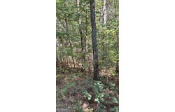 230 Dodgen Road, Hampton, GA 30228