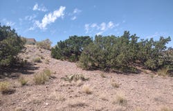 Santa Ana Loop, Placitas, NM 87043