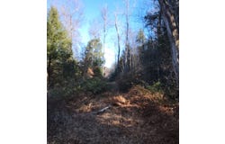 Elliott Road, HICO, WV 25854