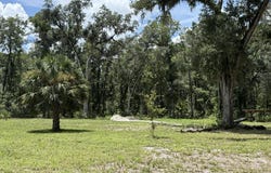 110 NE 558th St, Old Town, FL 32680